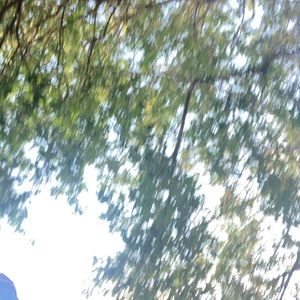 Meet your Posher, Rihanna